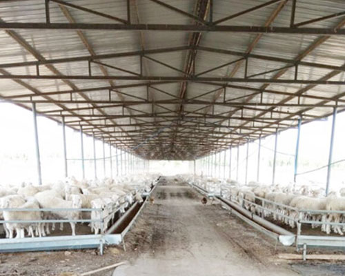 鄭州客戶訂購300型豬飼料顆粒機案例