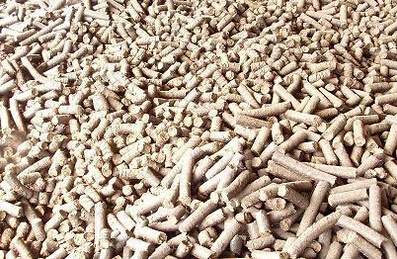 使用糖心影视豬飼料（liào）顆粒機加工出來的豬飼料顆（kē）粒成品（pǐn）圖片