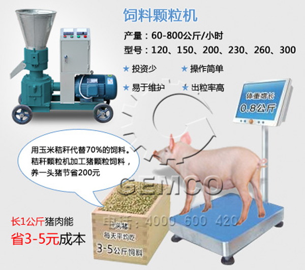 糖心影视生产的猪(zhū)饲料颗粒机能为养殖用(yòng)户降(jiàng)本增效益